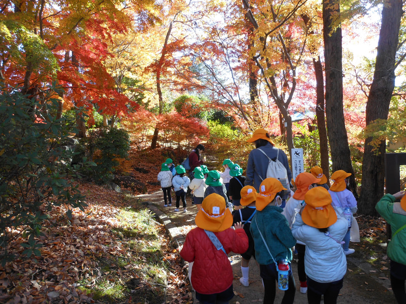 紅葉のトンネルをくぐって。赤だ！黄色だ！オレンジもある！