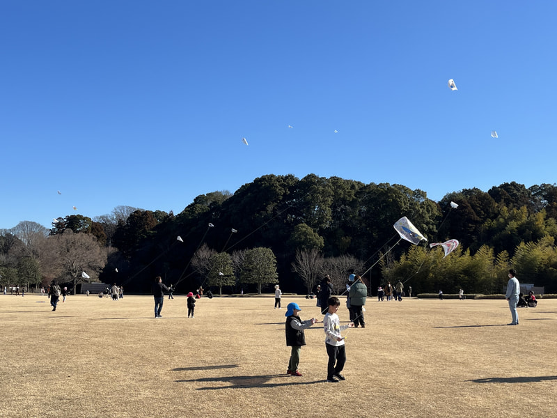 気持ちのよい青空に、たくさんの凧があがりました。